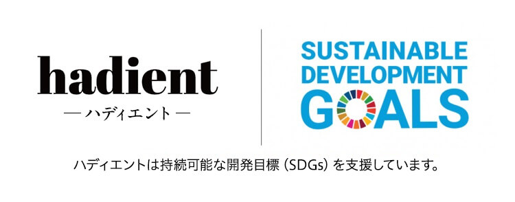 hadient ハディエントハディエントは持続可能な開発目標（SDGs）を支援しています。 