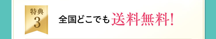 特典3：全国どこでも送料無料